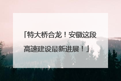 特大桥合龙！安徽这段高速建设最新进展！