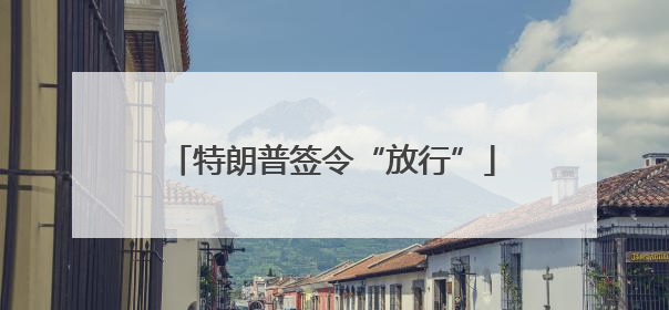 特朗普签令“放行”