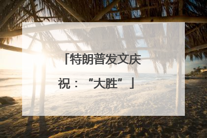 特朗普发文庆祝：“大胜”