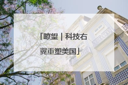 瞭望｜科技右翼重塑美国