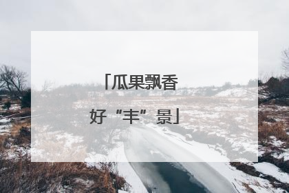 瓜果飘香 好“丰”景