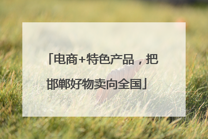 电商+特色产品，把邯郸好物卖向全国