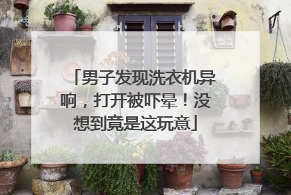 男子发现洗衣机异响，打开被吓晕！没想到竟是这玩意