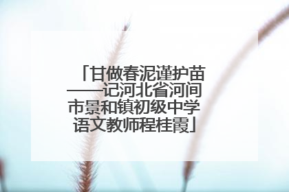 甘做春泥谨护苗——记河北省河间市景和镇初级中学语文教师程桂霞