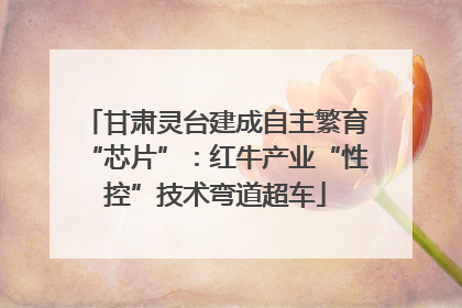 甘肃灵台建成自主繁育“芯片”：红牛产业“性控”技术弯道超车