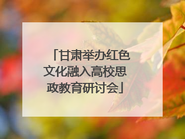 甘肃举办红色文化融入高校思政教育研讨会