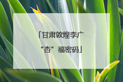 甘肃敦煌李广“杏”福密码