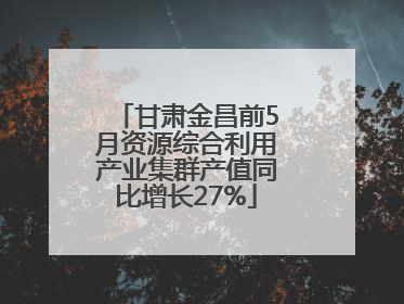 甘肃金昌前5月资源综合利用产业集群产值同比增长27%