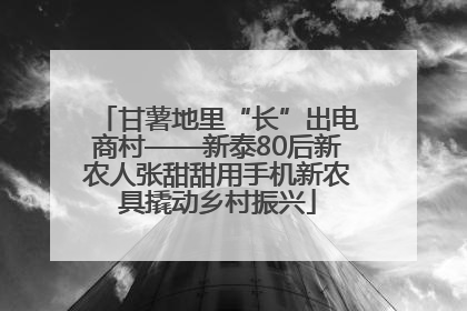 甘薯地里“长”出电商村——新泰80后新农人张甜甜用手机新农具撬动乡村振兴