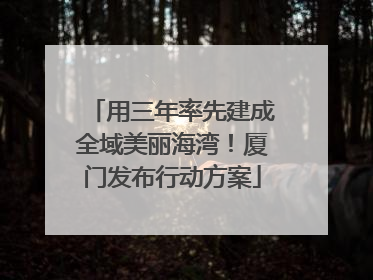 用三年率先建成全域美丽海湾！厦门发布行动方案