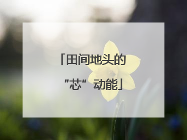 田间地头的“芯”动能