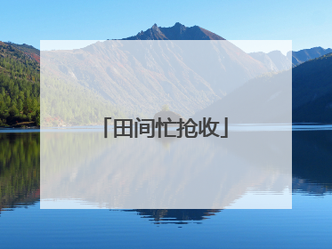 田间忙抢收
