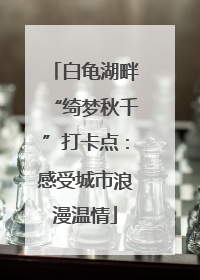 白龟湖畔“绮梦秋千”打卡点：感受城市浪漫温情