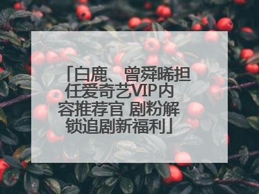 白鹿、曾舜晞担任爱奇艺VIP内容推荐官 剧粉解锁追剧新福利
