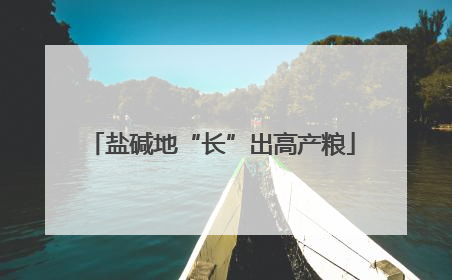 盐碱地“长”出高产粮
