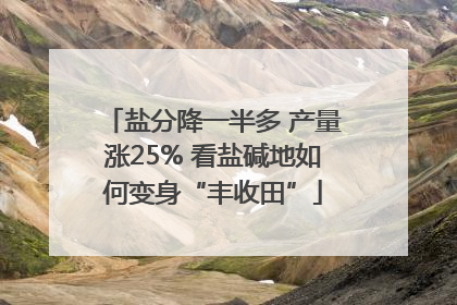 盐分降一半多 产量涨25% 看盐碱地如何变身“丰收田”