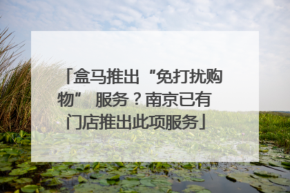 盒马推出“免打扰购物” 服务?南京已有门店推出此项服务