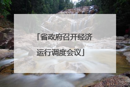 省政府召开经济运行调度会议