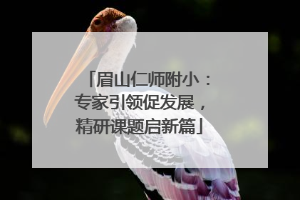 眉山仁师附小：专家引领促发展，精研课题启新篇