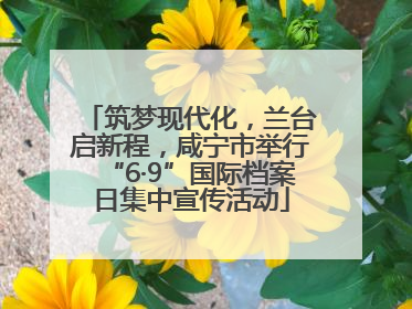 筑梦现代化，兰台启新程，咸宁市举行“6·9”国际档案日集中宣传活动
