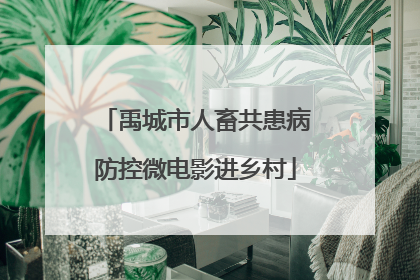 禹城市人畜共患病防控微电影进乡村
