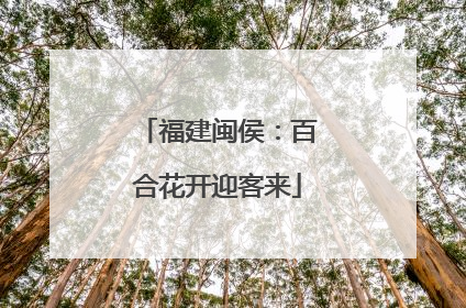 福建闽侯：百合花开迎客来