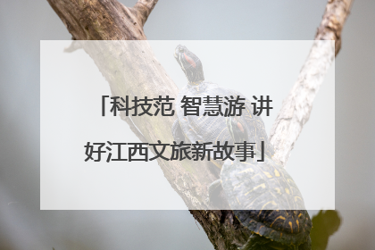 科技范 智慧游 讲好江西文旅新故事