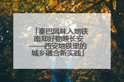 秦巴风味入地铁 南郑好物映长安——西安地铁里的城乡融合新实践