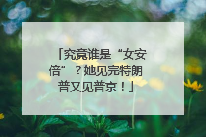 究竟谁是“女安倍”？她见完特朗普又见普京！