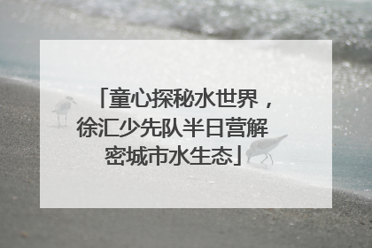 童心探秘水世界，徐汇少先队半日营解密城市水生态