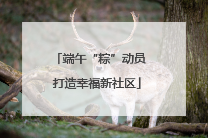 端午“粽”动员 打造幸福新社区