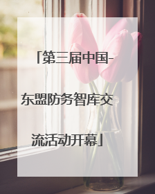 第三届中国-东盟防务智库交流活动开幕