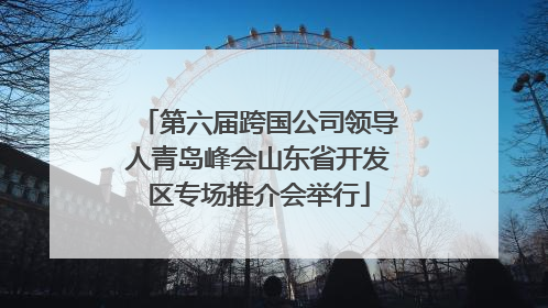 第六届跨国公司领导人青岛峰会山东省开发区专场推介会举行