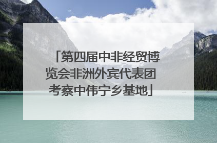 第四届中非经贸博览会非洲外宾代表团考察中伟宁乡基地