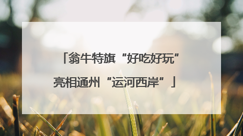翁牛特旗“好吃好玩”亮相通州“运河西岸”