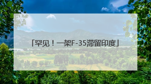 罕见！一架F-35滞留印度