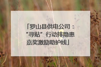 罗山县供电公司：“寻贴”行动排隐患 嘉奖激励助护线
