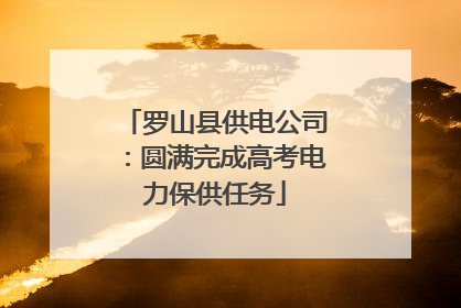 罗山县供电公司：圆满完成高考电力保供任务