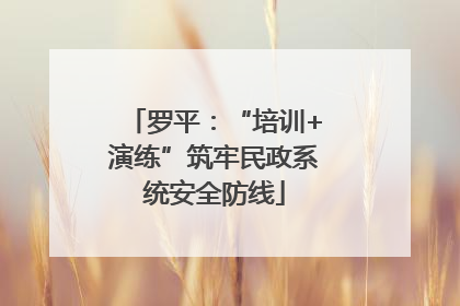 罗平：“培训+演练”筑牢民政系统安全防线