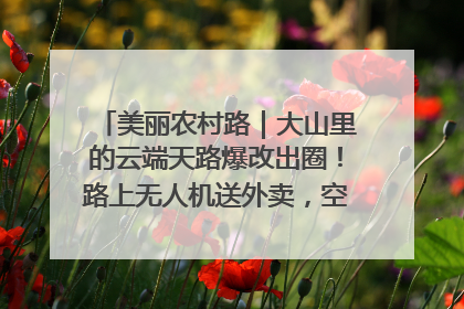 美丽农村路｜大山里的云端天路爆改出圈！路上无人机送外卖，空心村变网红村