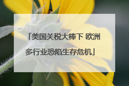 美国关税大棒下 欧洲多行业恐陷生存危机