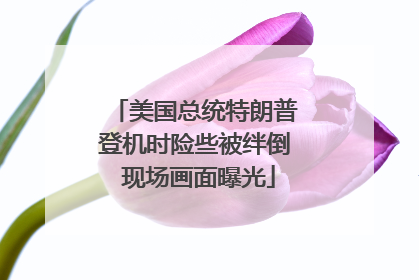 美国总统特朗普登机时险些被绊倒 现场画面曝光