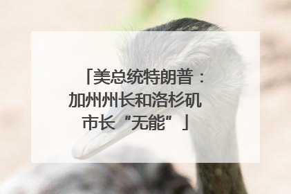 美总统特朗普：加州州长和洛杉矶市长“无能”