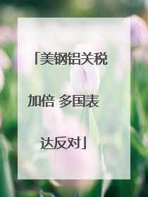 美钢铝关税加倍 多国表达反对