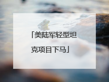 美陆军轻型坦克项目下马
