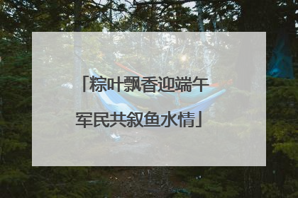 粽叶飘香迎端午 军民共叙鱼水情