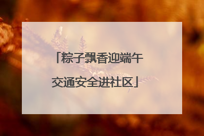 粽子飘香迎端午 交通安全进社区