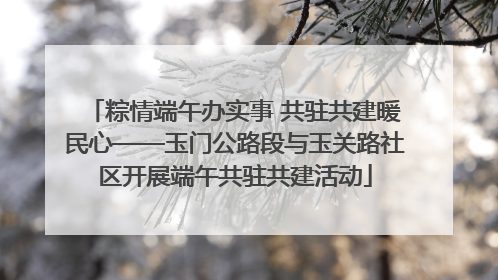 粽情端午办实事 共驻共建暖民心——玉门公路段与玉关路社区开展端午共驻共建活动