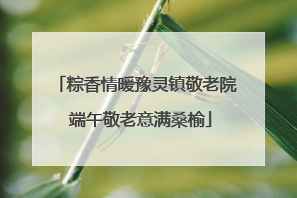 粽香情暖豫灵镇敬老院 端午敬老意满桑榆