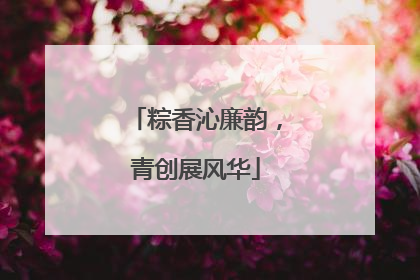 粽香沁廉韵，青创展风华